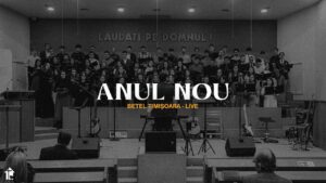 Anul nou | Petru Bulica